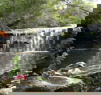 Nellies Glen Picnic Area - Accommodation Tasmania
