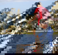 Shepparton - Accommodation Tasmania