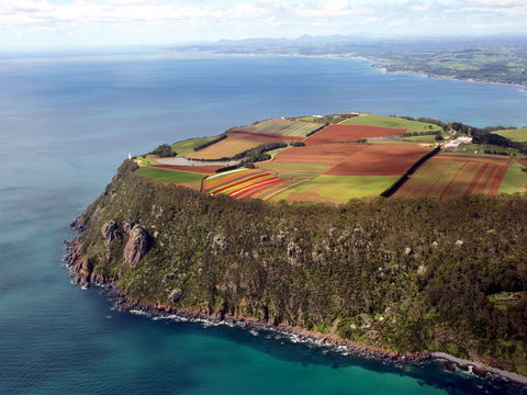 Table Cape - Accommodation Tasmania 1