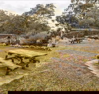Thredbo River picnic area - Accommodation Tasmania