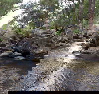 Threlfall Walking Track - Accommodation Tasmania