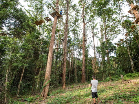 TreeTop Challenge - Sunshine Coast - Accommodation Tasmania 1