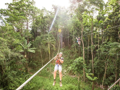 TreeTop Challenge - Sunshine Coast - Accommodation Tasmania 2