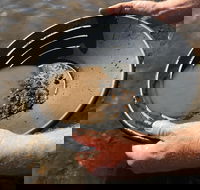 Tuena Panning for Gold - Accommodation Tasmania