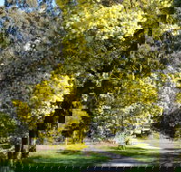 Wattle Park - Accommodation Tasmania