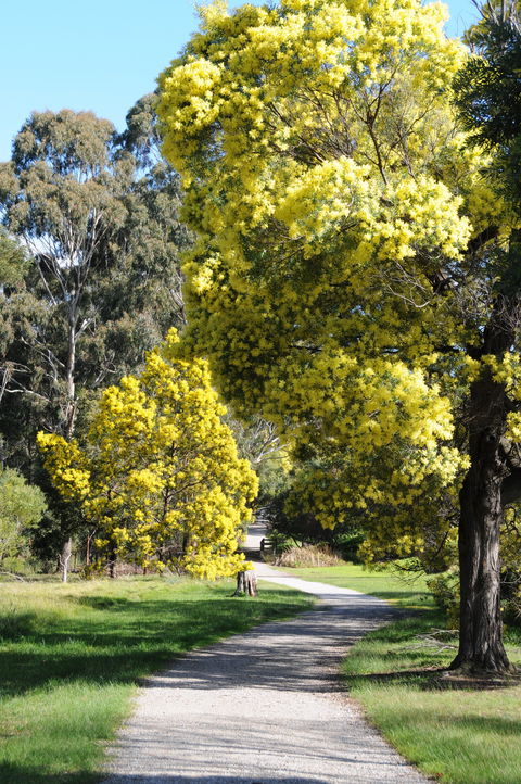 Wattle Park - Accommodation Tasmania 0