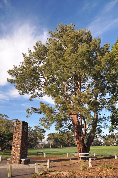 Wattle Park - Accommodation Tasmania 2