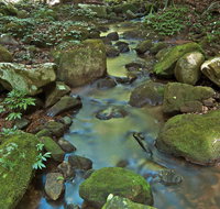Whian Whian State Conservation Area - Accommodation Tasmania
