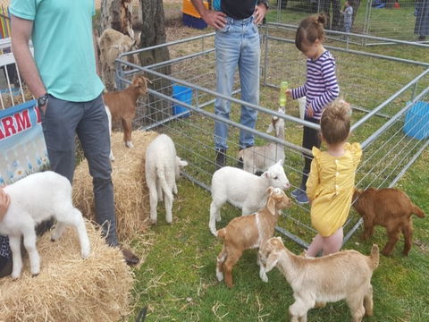 Animal Farm Visit - Accommodation Tasmania 2