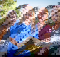 Australian Seabird Rescue - Accommodation Tasmania