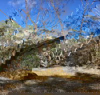 Bailey's Rocks - Dergholm State Park - Accommodation Tasmania