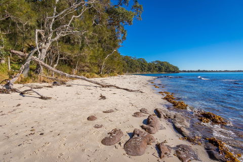 Barfleur Beach - Accommodation Tasmania 0