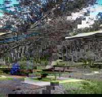 Barrington Tops State Forest - Accommodation Tasmania