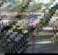 Bidgee Riverside Trail  - Hay Nature Walk - Accommodation Tasmania