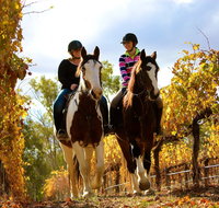 Billabong Ranch Adventure Park - Accommodation Tasmania