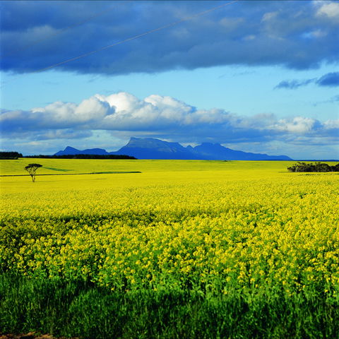 Borden - Accommodation Tasmania 0