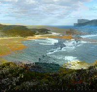 Bullimah Spur Track - Accommodation Tasmania