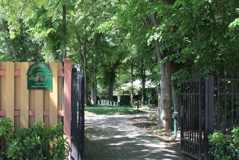 Bungendore Heritage Walk - Accommodation Tasmania 0