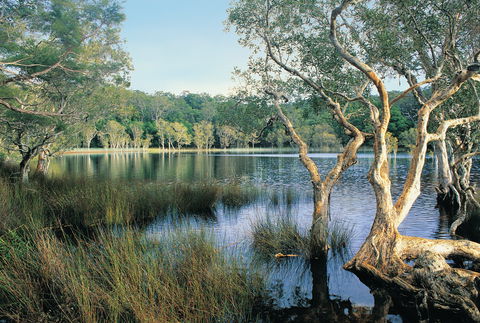 Cooloola, Great Sandy National Park - Accommodation Tasmania 1