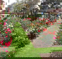 Cowra Rose Garden - Accommodation Tasmania