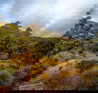 Dove Lake - Accommodation Tasmania