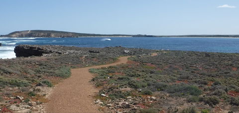 Elliston Coastal Trail - Accommodation Tasmania 0