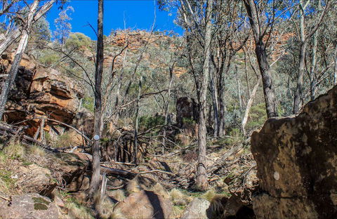Eualdrie Walking Track - Accommodation Tasmania 0