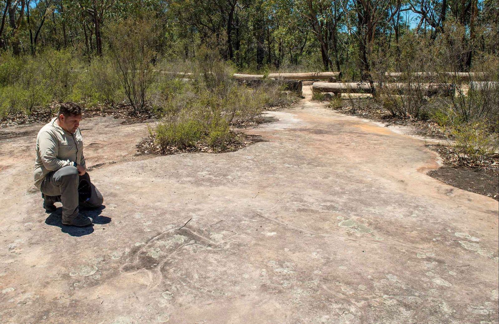 Big Yengo NSW Accommodation Tasmania