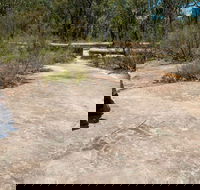 Finchley Cultural Walk - Accommodation Tasmania