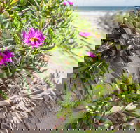 Fort Bribie - Accommodation Tasmania