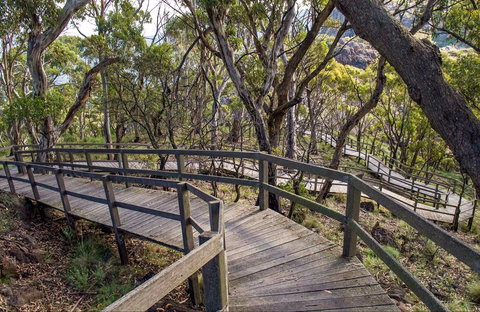 Governor Summit (Corrunbral Borawah) Walking Track - Accommodation Tasmania 0