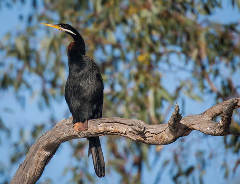 Greenough River Nature Trail - Accommodation Tasmania 0
