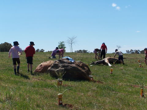 Jim Salmon  Wetland Education Site - Accommodation Tasmania 0