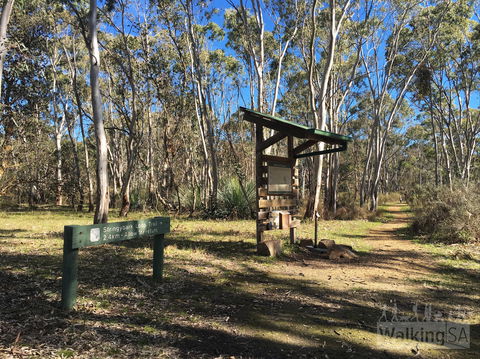Kaiserstuhl Conservation Park - Accommodation Tasmania 0