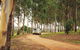 Kumbia Federation Heritage Centre - thumb 0