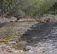 Lake Rowallan - Accommodation Tasmania
