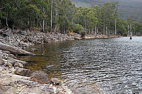 Lake Rowallan - Accommodation Tasmania 1