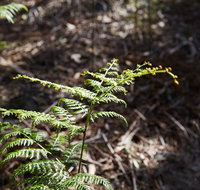 Langwarrin Flora and Fauna Reserve Walking Trails - Accommodation Tasmania