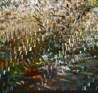 Leeuwin-Naturaliste National Park - Cowaramup - Accommodation Tasmania