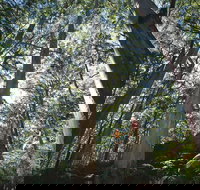 Leeuwin-Naturaliste National Park - Leeuwin - Accommodation Tasmania