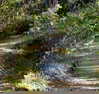McDirtys Walking Track - Accommodation Tasmania