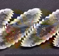 Mount Hay Gemstone Tourist Park - Accommodation Tasmania