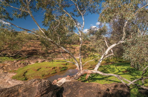 Mount Grenfell Historic Site - Accommodation Tasmania 0