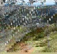 Mount Towac Walk - Accommodation Tasmania