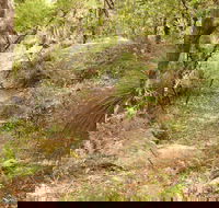 Mount Carnarvon Walking Track - Accommodation Tasmania