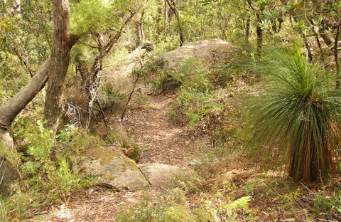 Mount Carnarvon Walking Track - Accommodation Tasmania 0