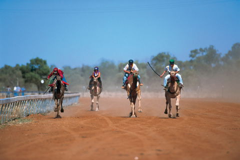 Outback Camel Festival Trail - Accommodation Tasmania 2