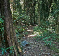 Pholis Gap Walking Track - Accommodation Tasmania