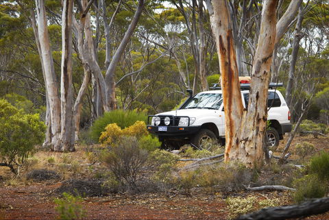 Ravensthorpe Range - Accommodation Tasmania 0