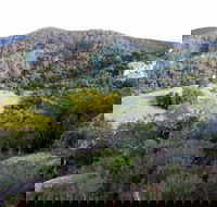 The Bellbird - Accommodation Tasmania
